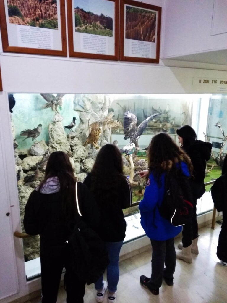 334622560_612217734084261_4858951839574660101_n